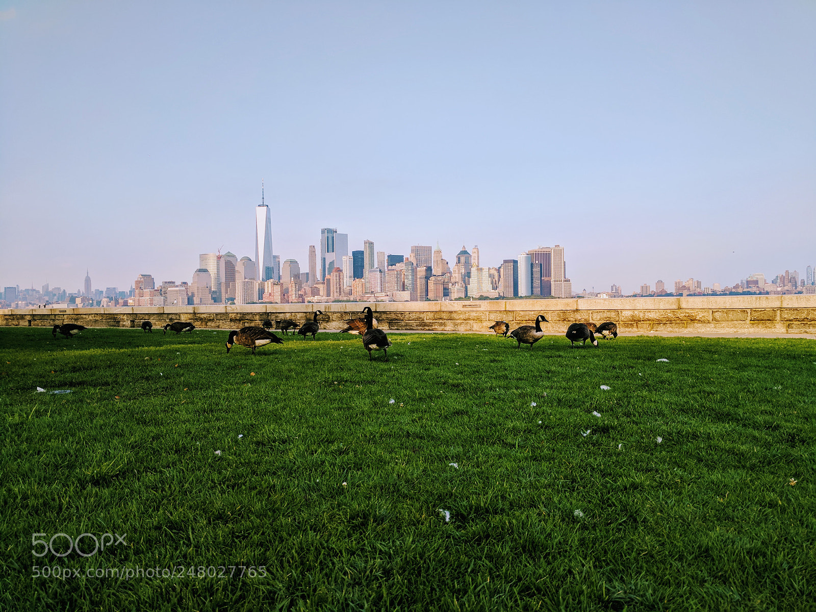 Google Pixel XL sample photo. New york from ellis photography