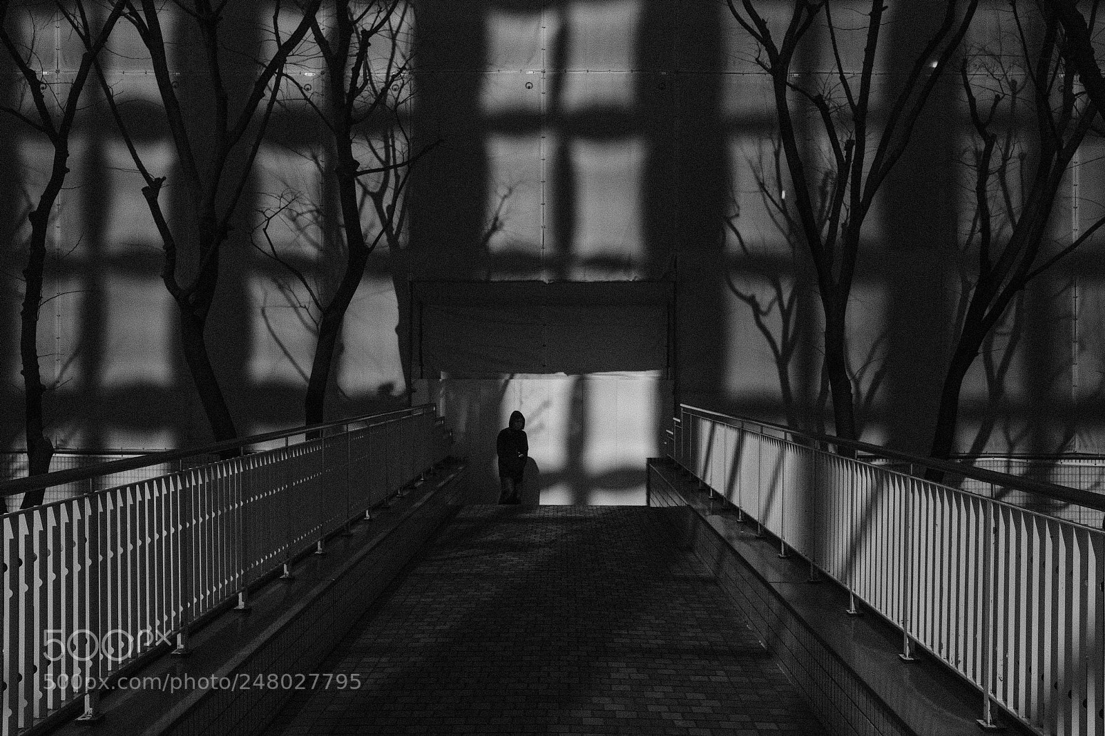 Fujifilm X-Pro2 sample photo. Shadow photography