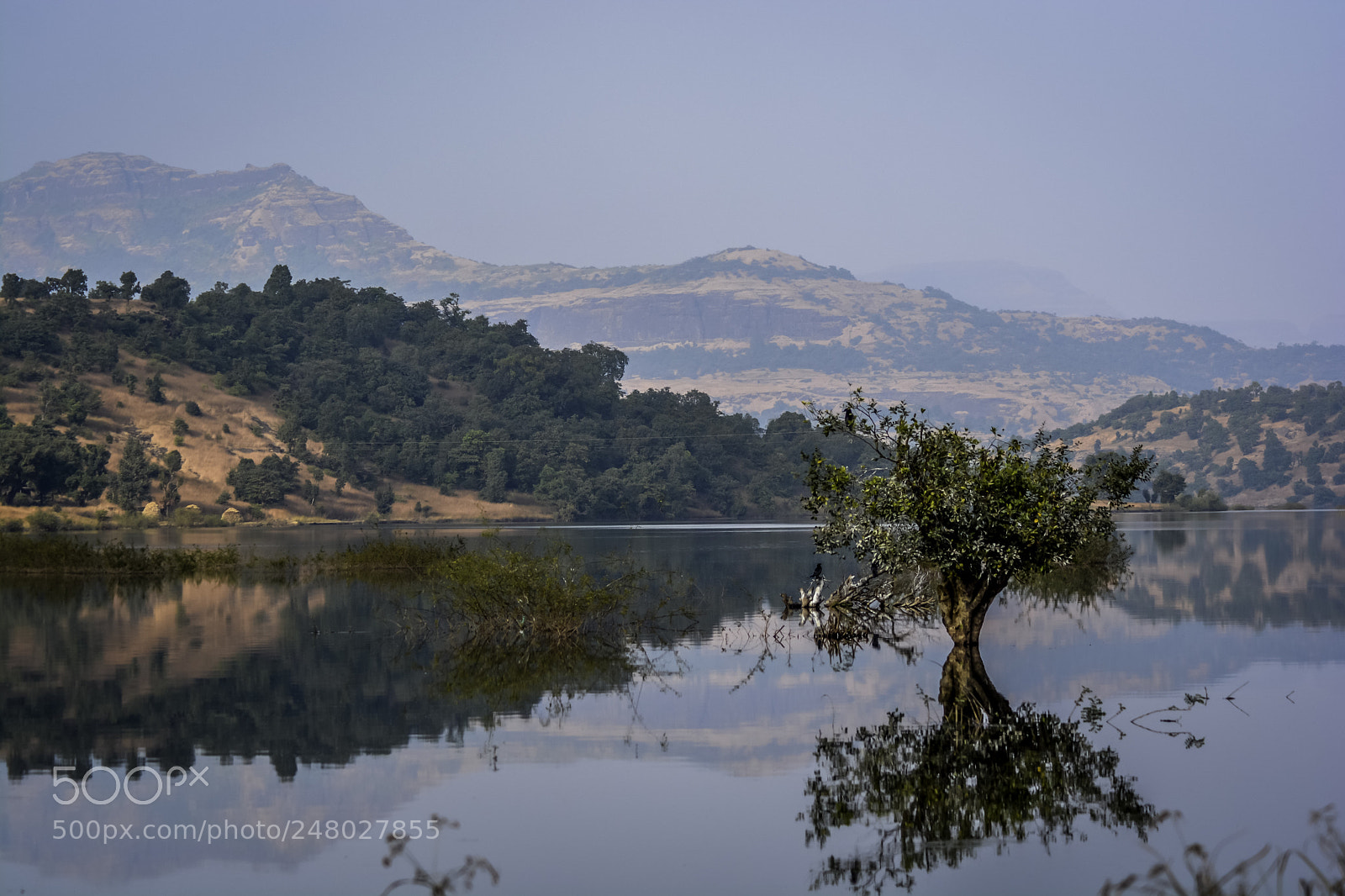 Nikon D5200 sample photo. Mat photography