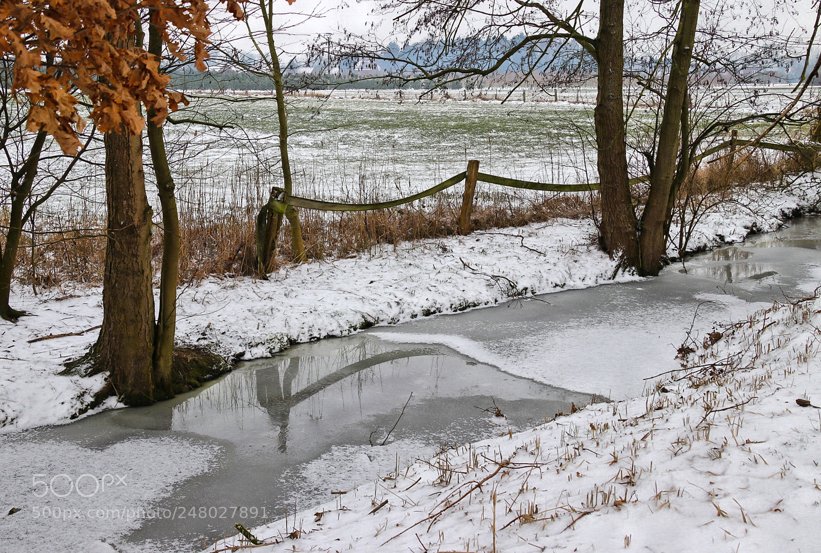 Canon EOS 80D sample photo. Bach im winter photography
