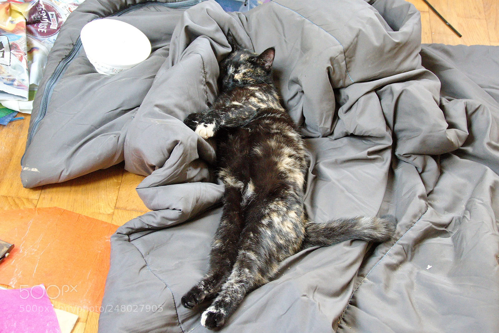 Panasonic Lumix DMC-FZ1000 sample photo. C () photography