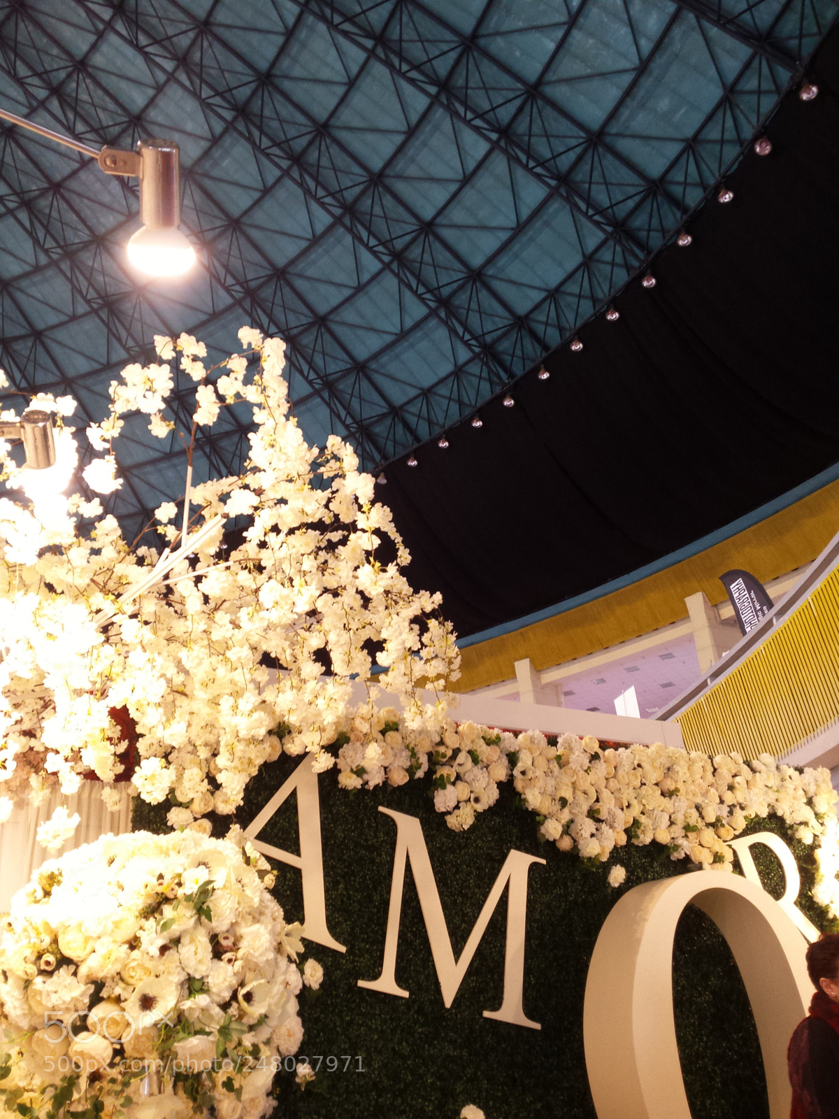 Samsung Galaxy S4 sample photo. Wedding ambient-romexpo photography