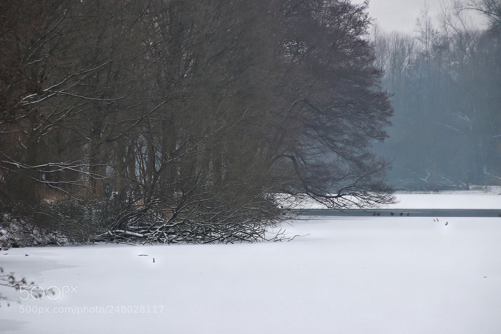 Canon EOS 80D sample photo. Wintermorgen am breyeller see photography