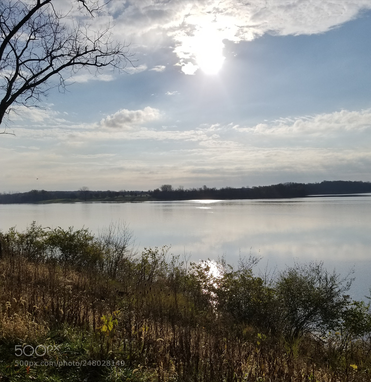 Samsung Galaxy S8+ sample photo. Untitled photography