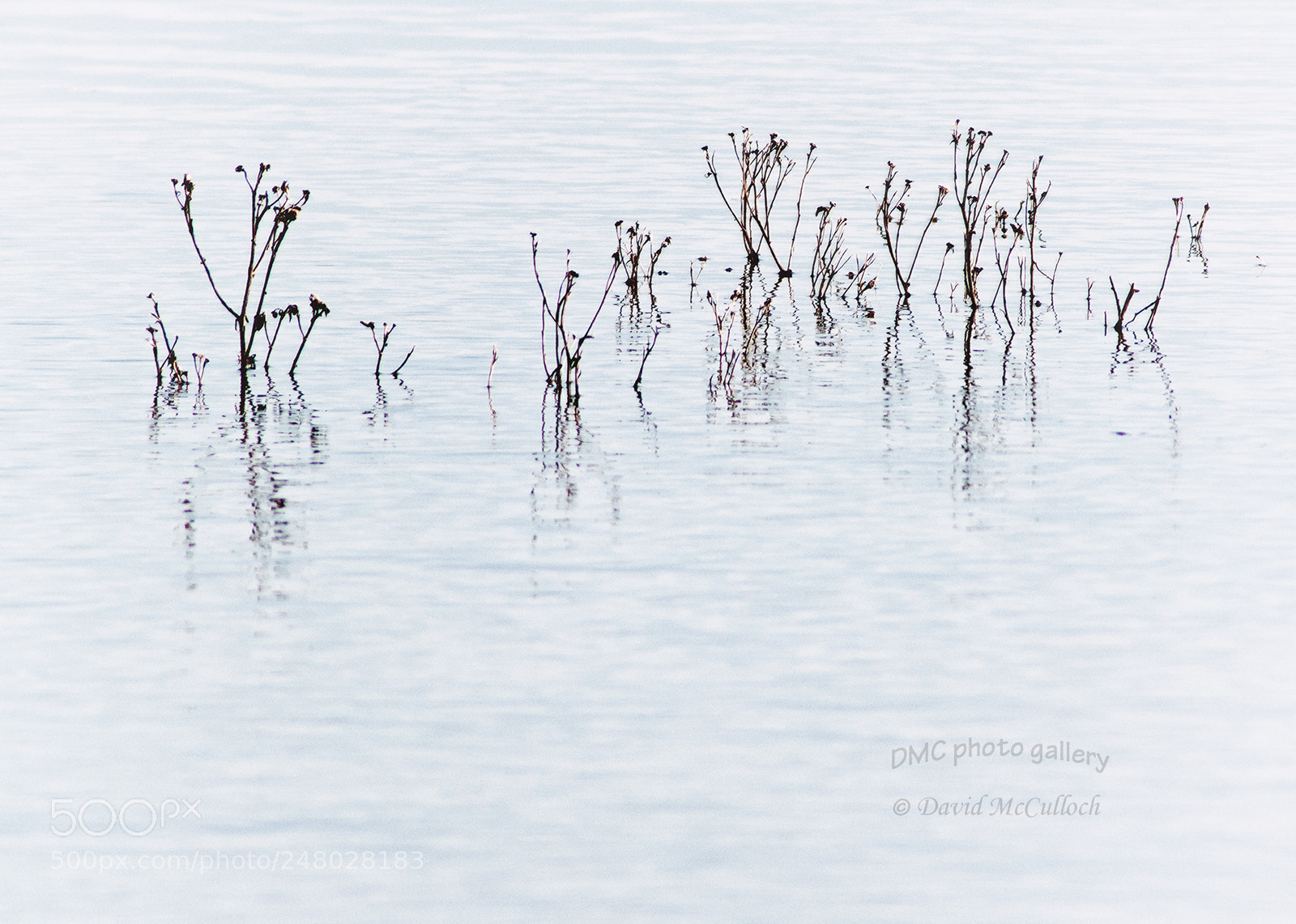 Canon EOS 500D (EOS Rebel T1i / EOS Kiss X3) sample photo. Ripples and reflections photography