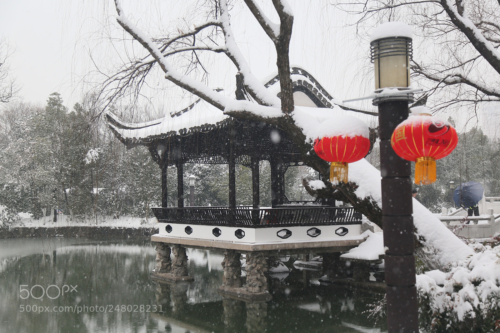 Canon EOS 6D + Canon EF 24-105mm F4L IS USM sample photo. Untitled photography