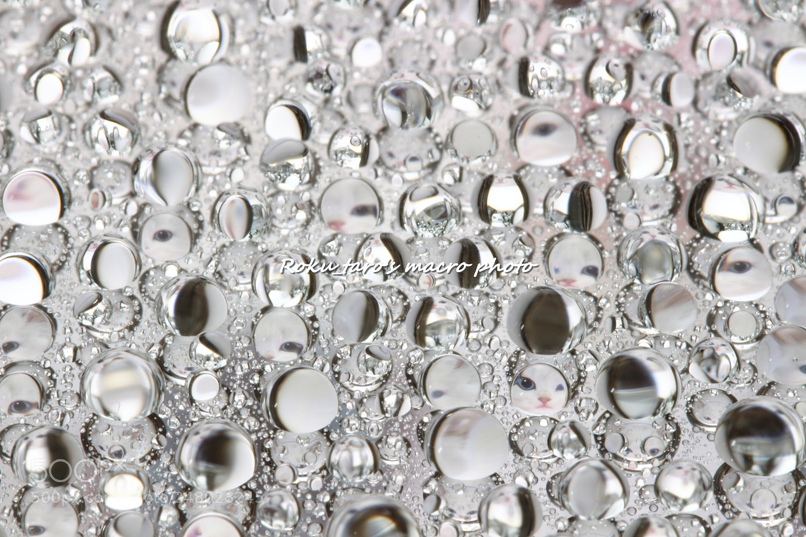 Canon EOS 700D (EOS Rebel T5i / EOS Kiss X7i) sample photo. Puzzle photography