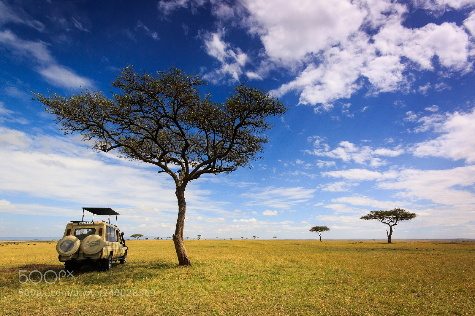 Canon EOS 7D Mark II sample photo. Tanzania - serengeti photography