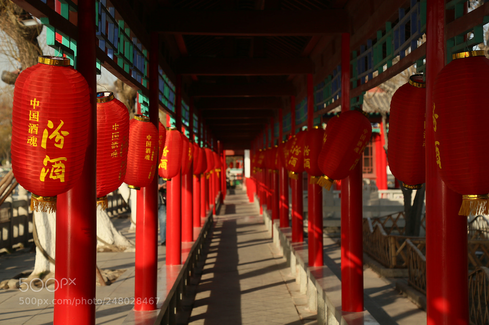 Canon EOS 6D + Canon EF 24-105mm F4L IS USM sample photo. Untitled photography