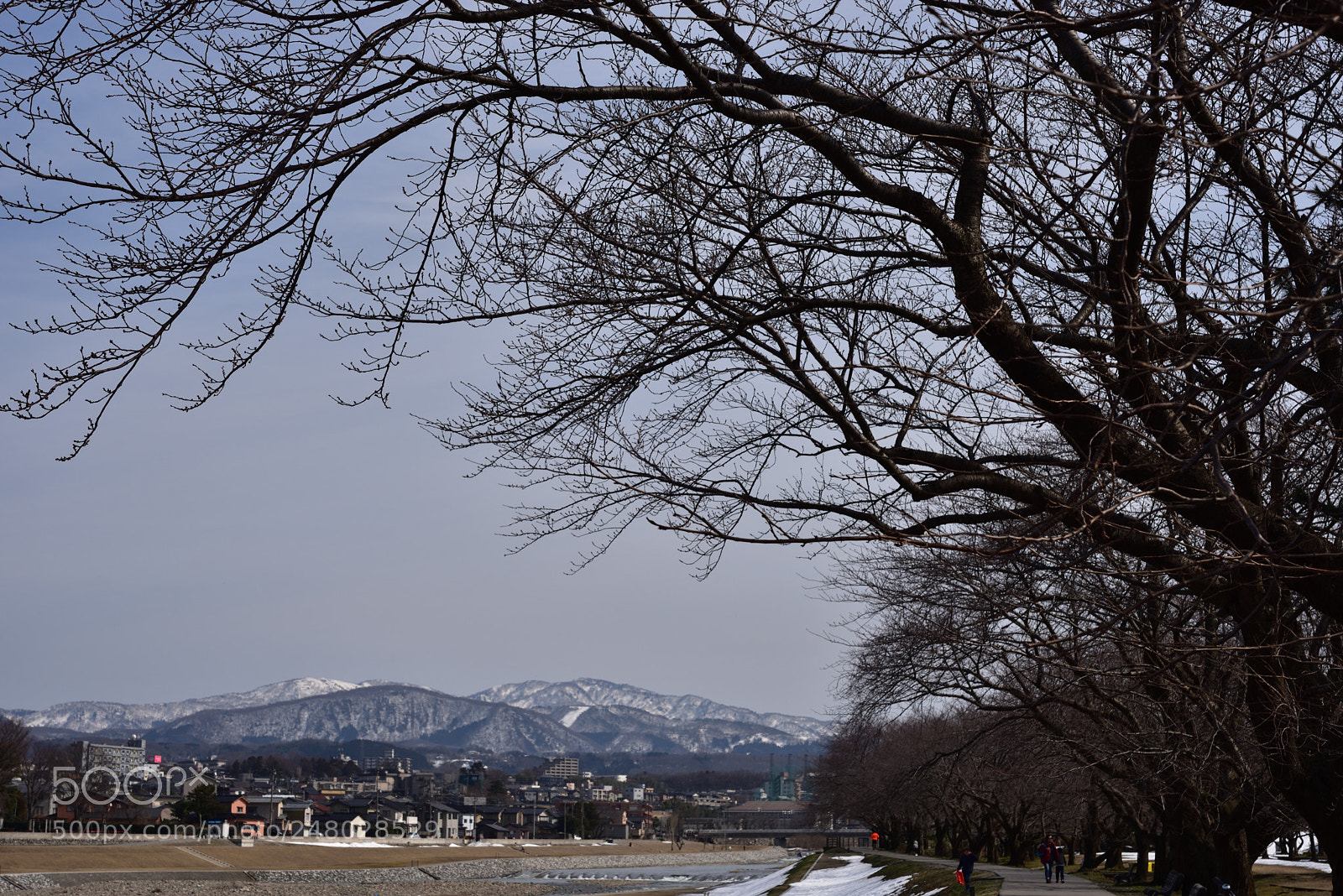 Nikon AF-S Micro-Nikkor 60mm F2.8G ED sample photo. 金沢散歩 犀川緑地を歩く。 photography