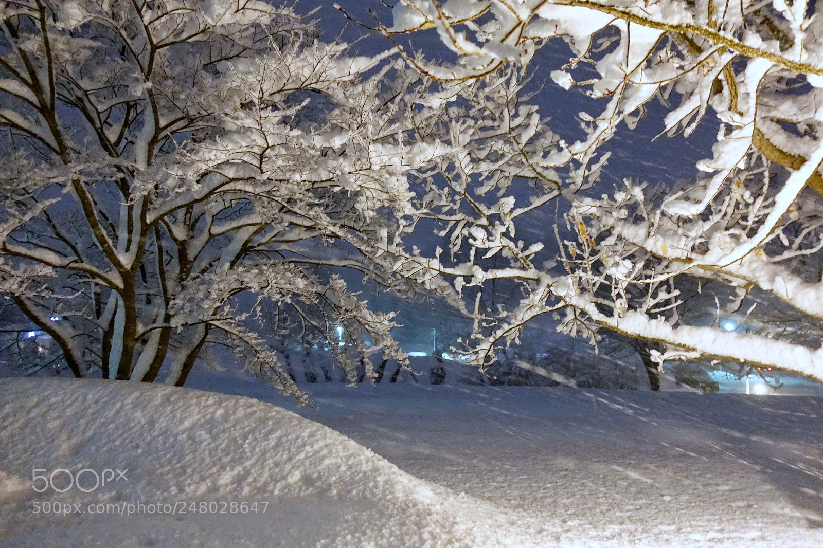 Sony Cyber-shot DSC-RX100 IV sample photo. Snowing night photography