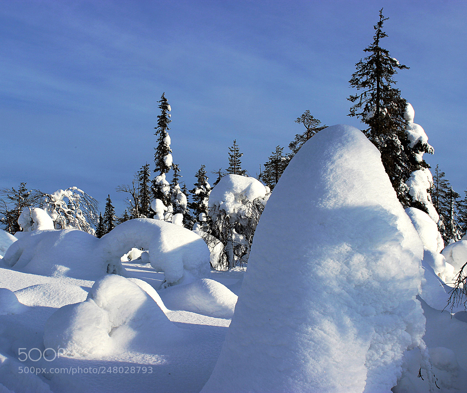 Canon EOS 600D (Rebel EOS T3i / EOS Kiss X5) sample photo. Snow art photography