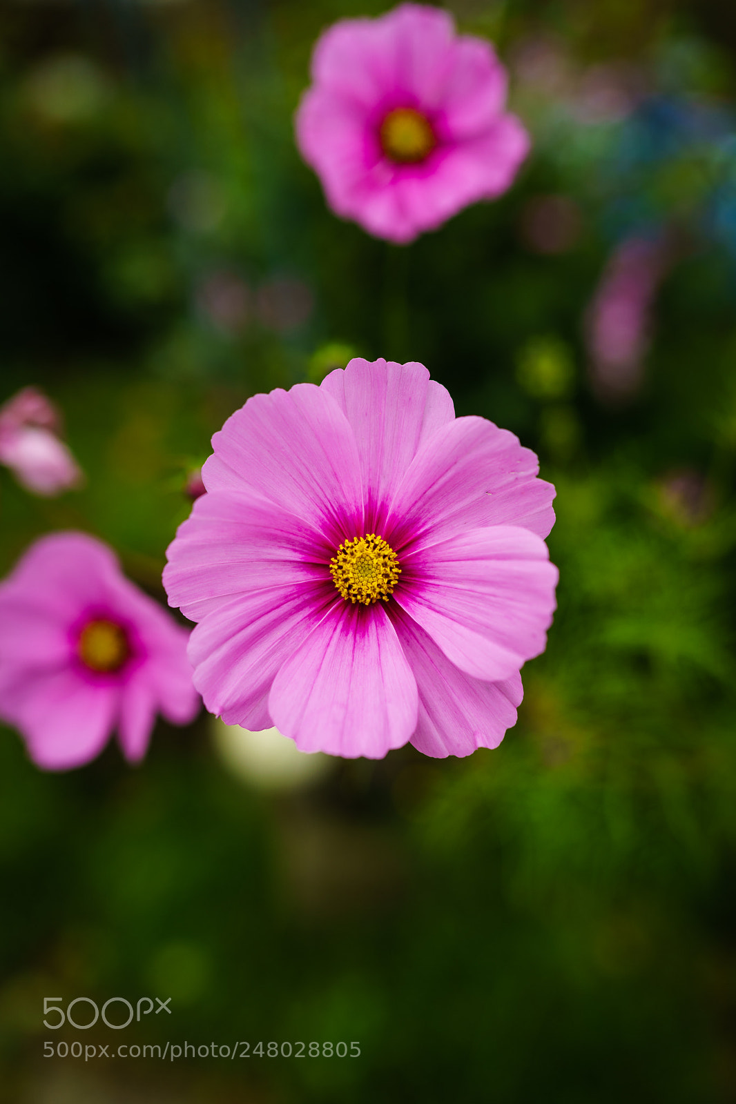 Sony a7 sample photo. Got this feeling photography