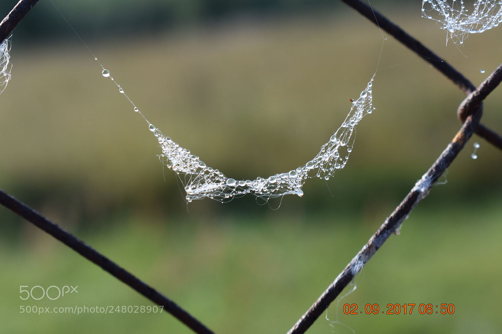 Nikon D3400 sample photo. Untitled photography