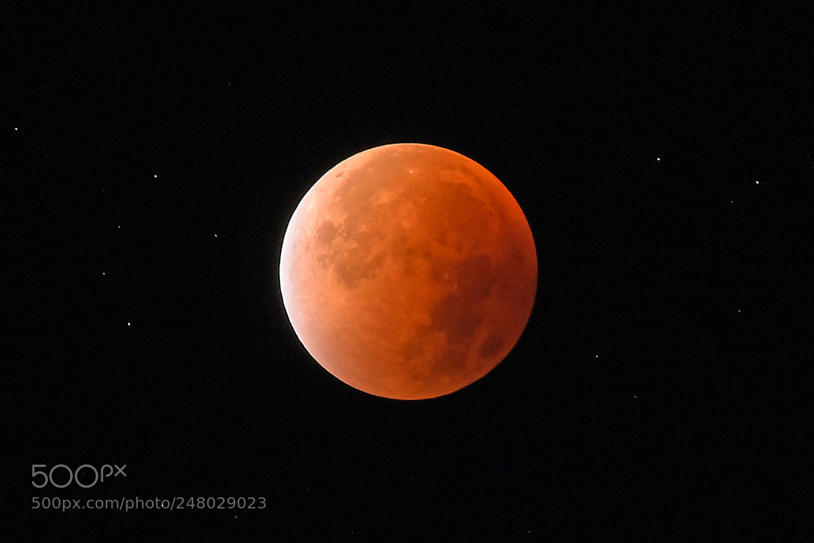 Nikon D750 sample photo. Total lunar eclipse photography