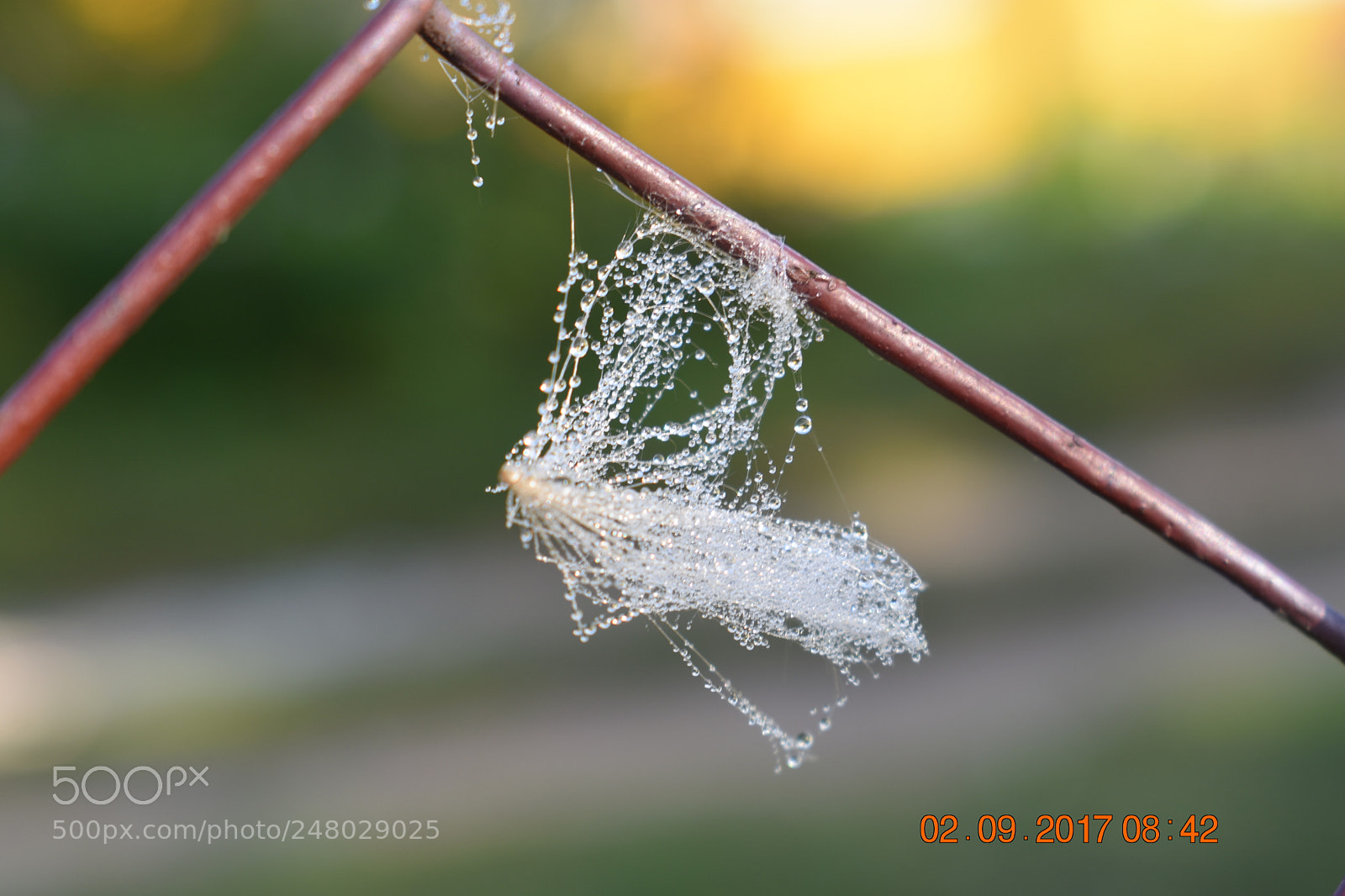 Nikon D3400 sample photo. Untitled photography