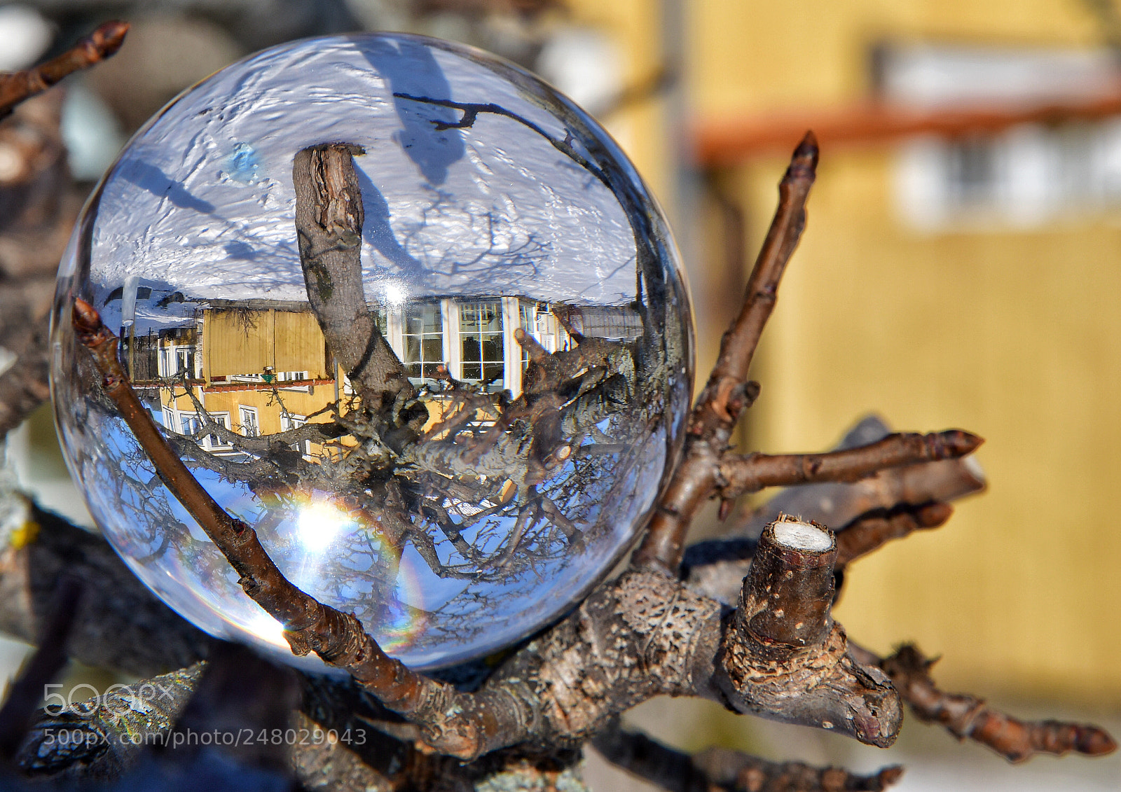 Nikon D500 sample photo. Untitled photography