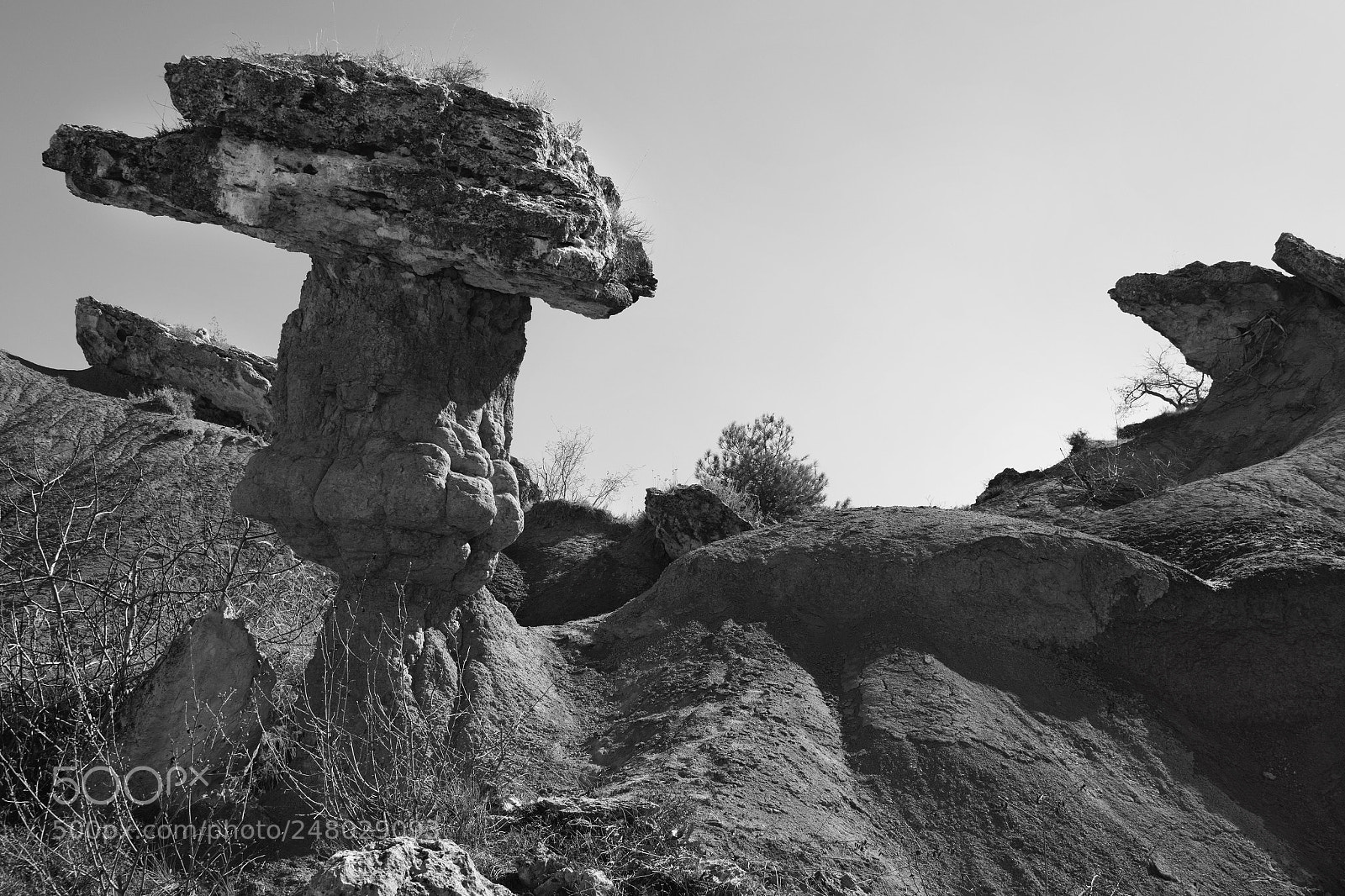 Nikon D7100 sample photo. àrid photography