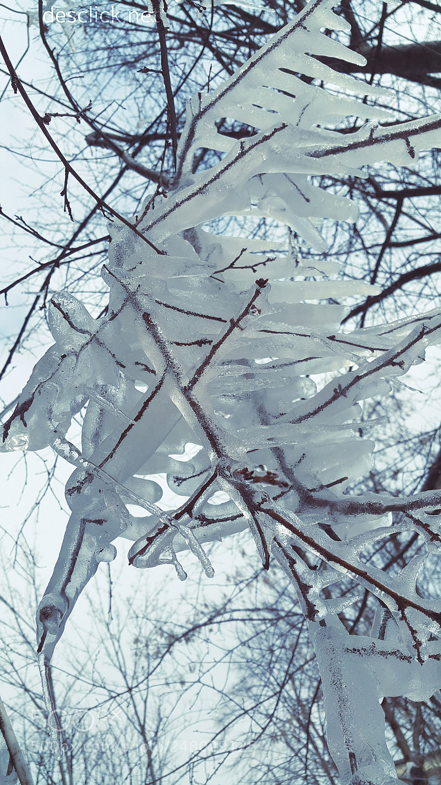 Samsung Galaxy Note4 sample photo. Sculpturally iced photography