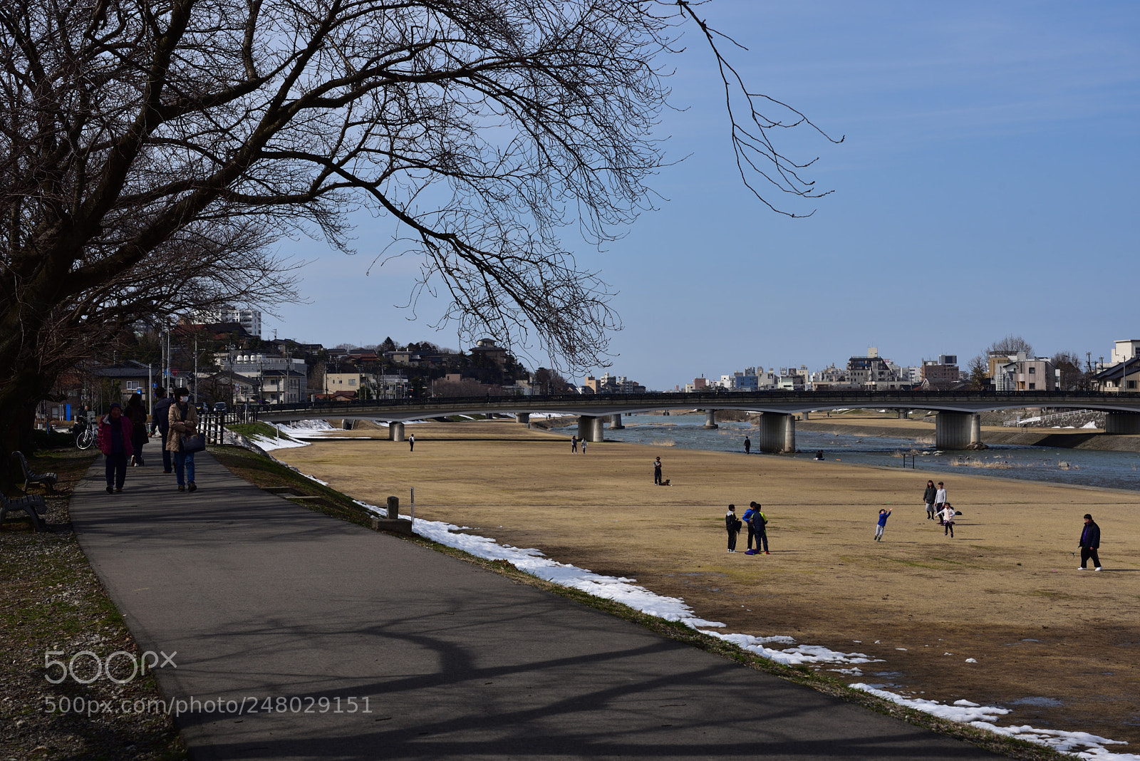 Nikon D750 sample photo. 金沢散歩 犀川緑地を歩く。 (2) photography