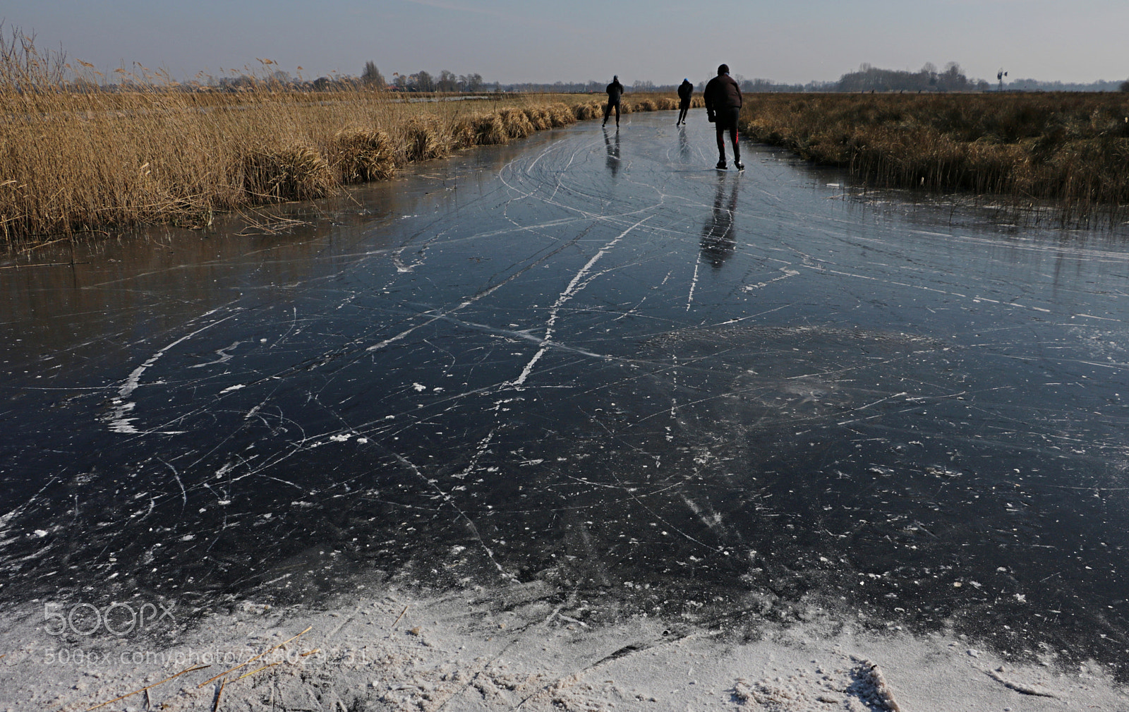 Canon EOS 760D (EOS Rebel T6s / EOS 8000D) sample photo. Cold winter photography