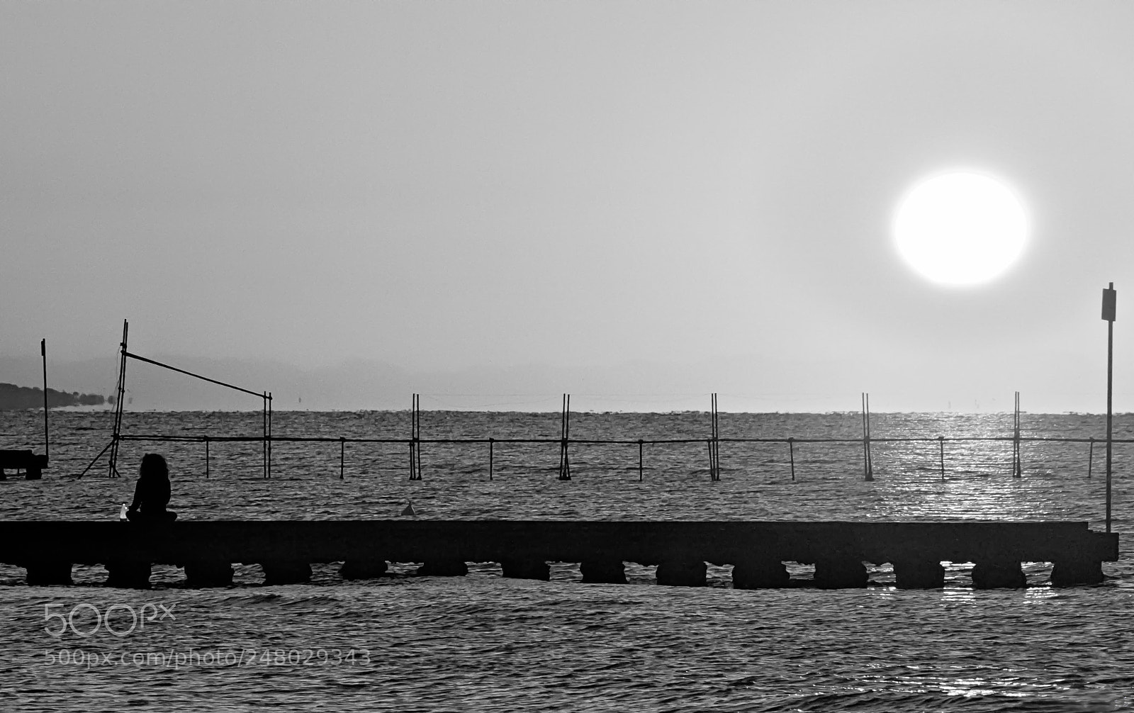 Canon EOS 700D (EOS Rebel T5i / EOS Kiss X7i) sample photo. Sungazing photography