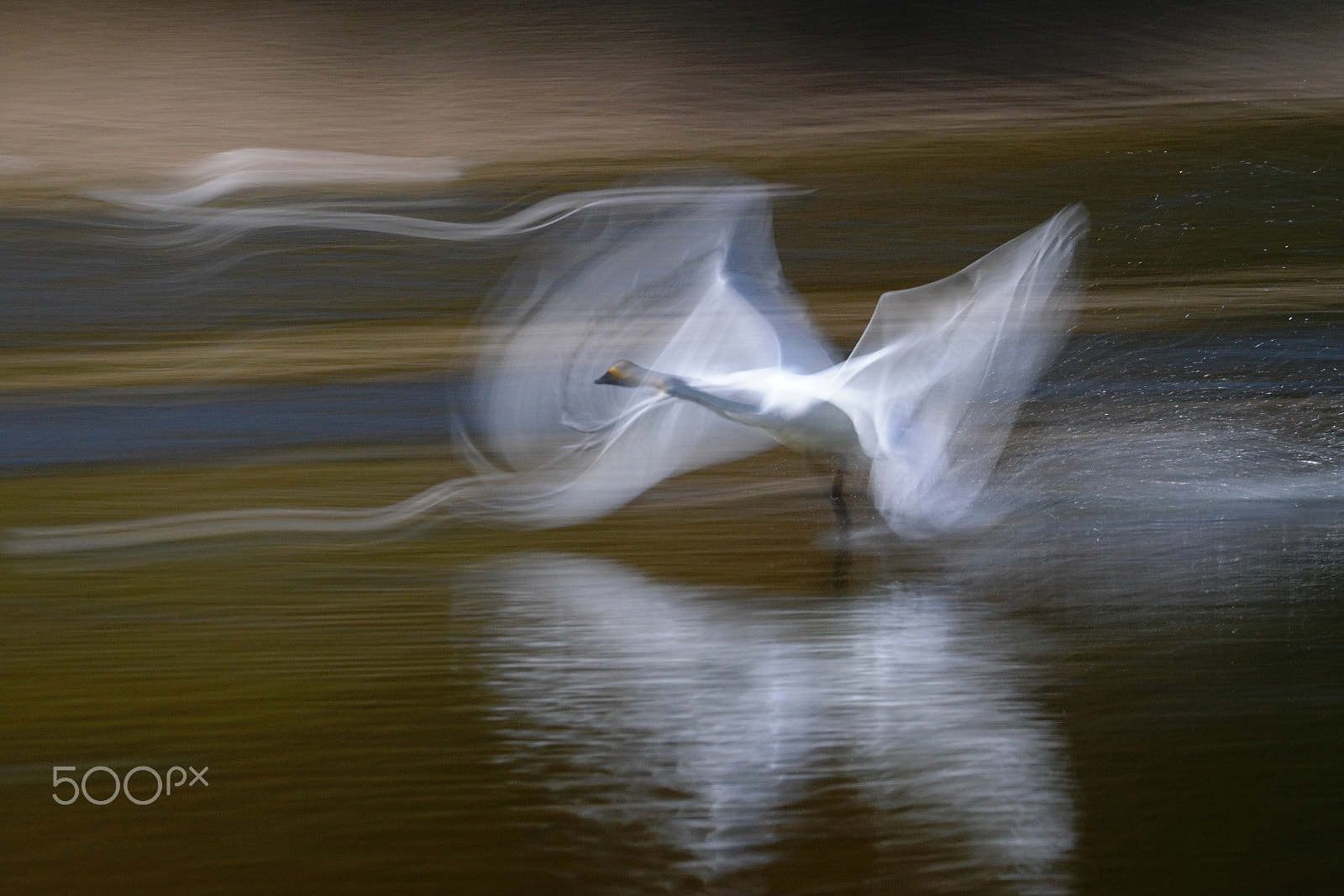 Sony ILCA-77M2 sample photo. (prima donna fluttering on the lake) photography