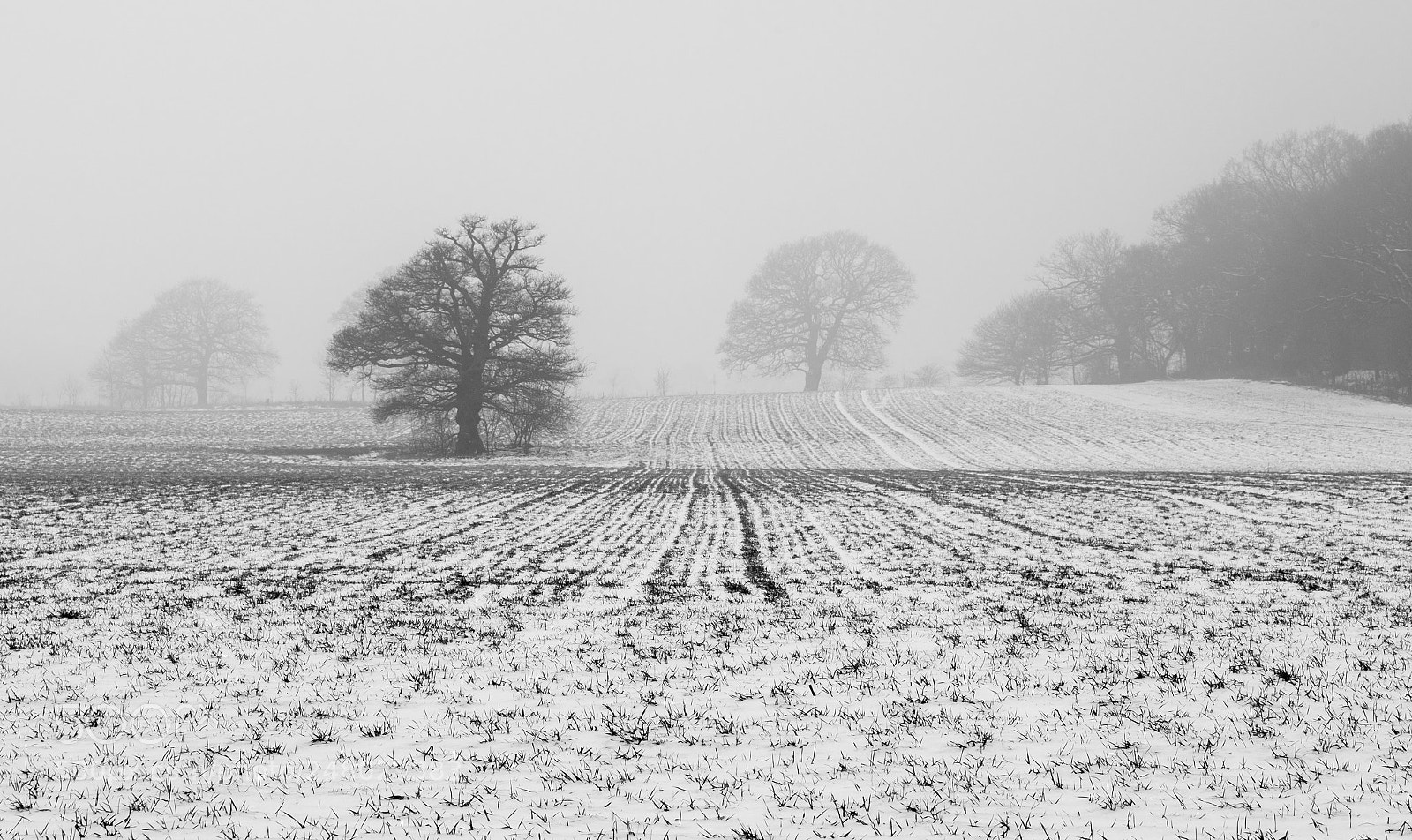 Nikon D850 sample photo. So called british snow photography