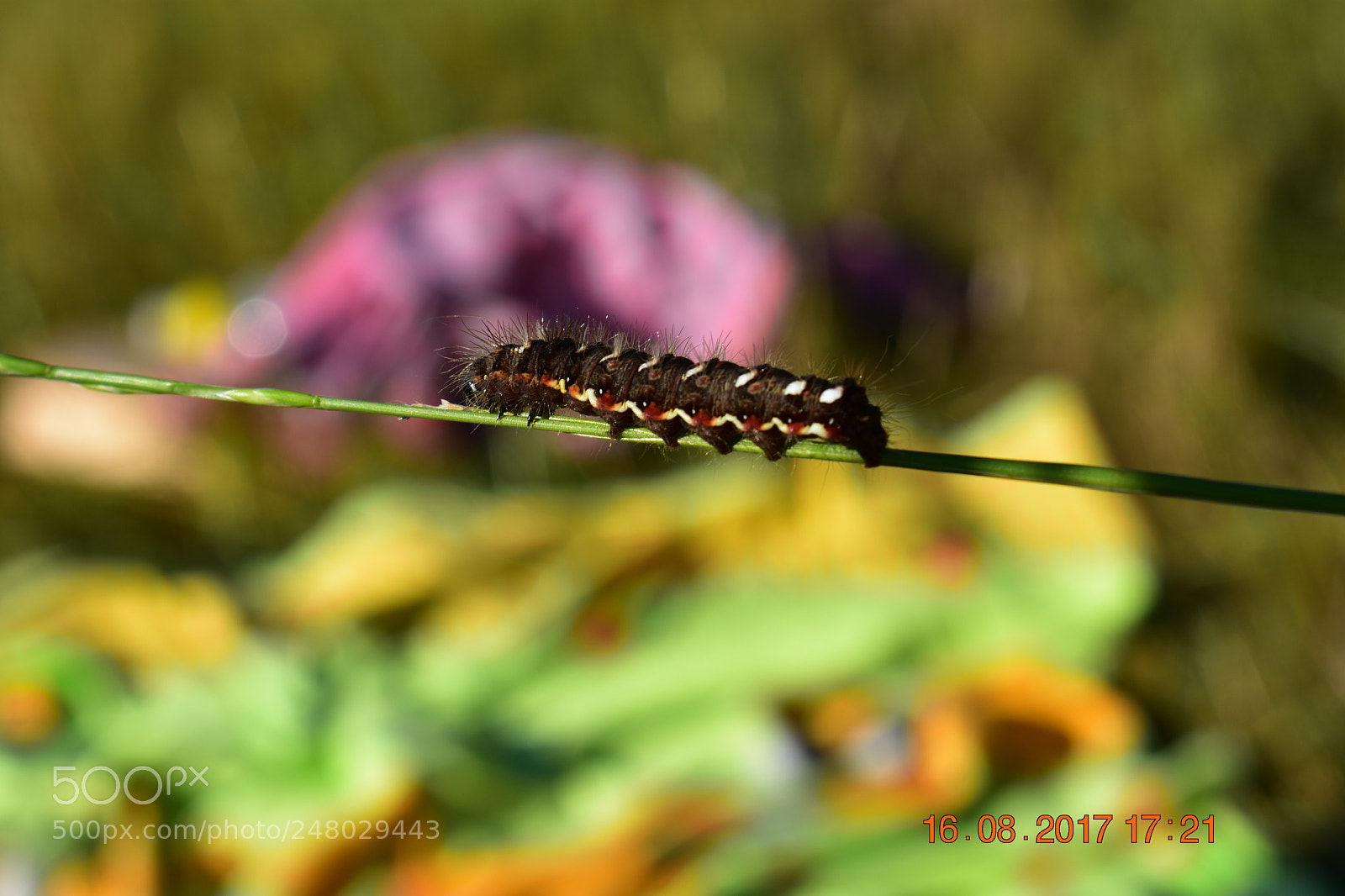 Nikon D3400 sample photo. Untitled photography