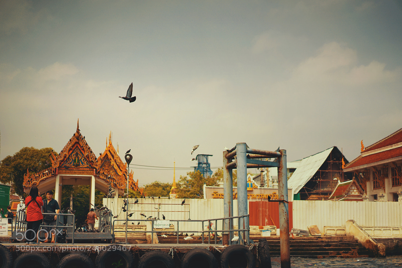 Sony a7 II sample photo. Untitled photography