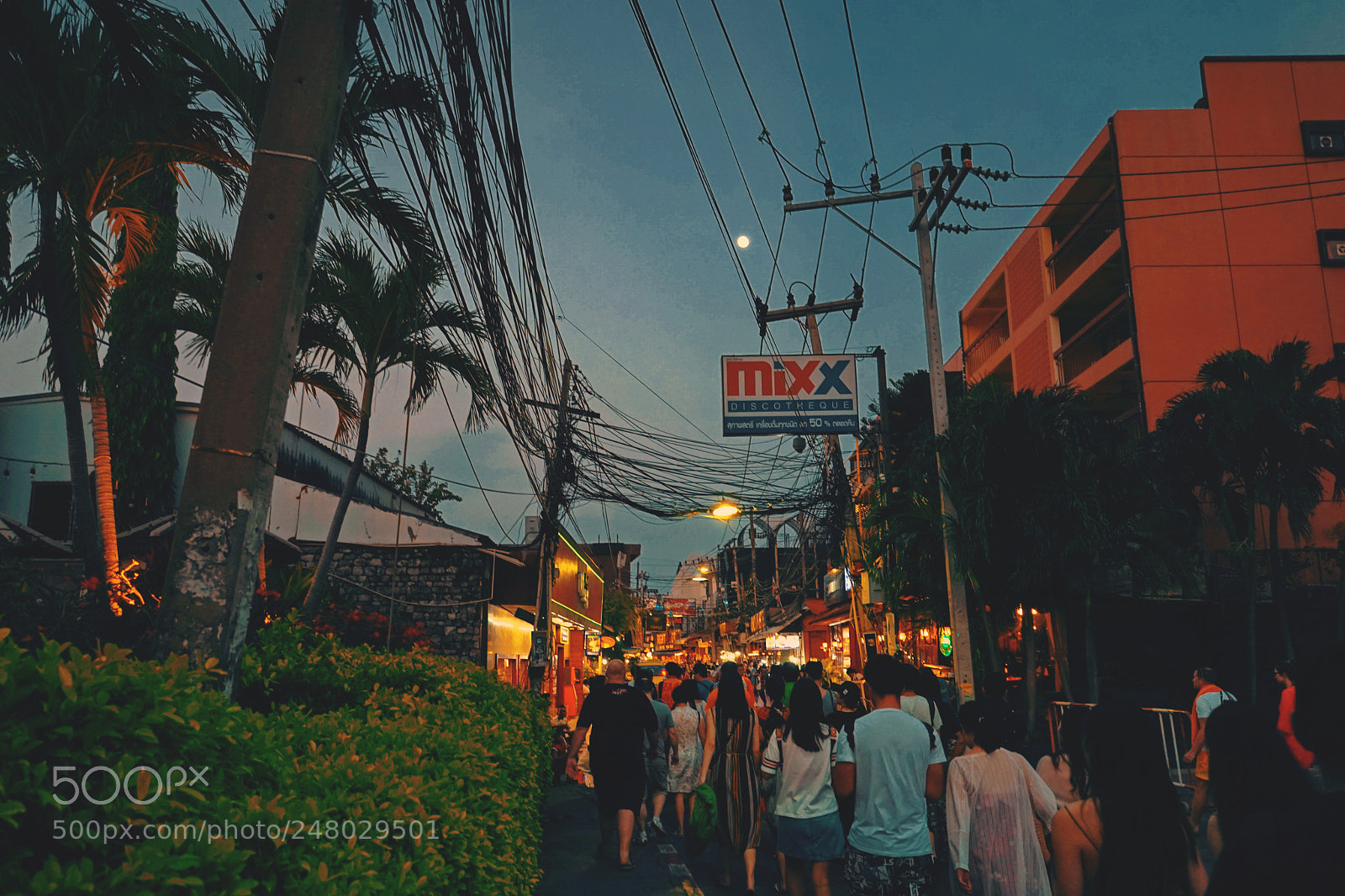 Sony a7 II sample photo. Untitled photography