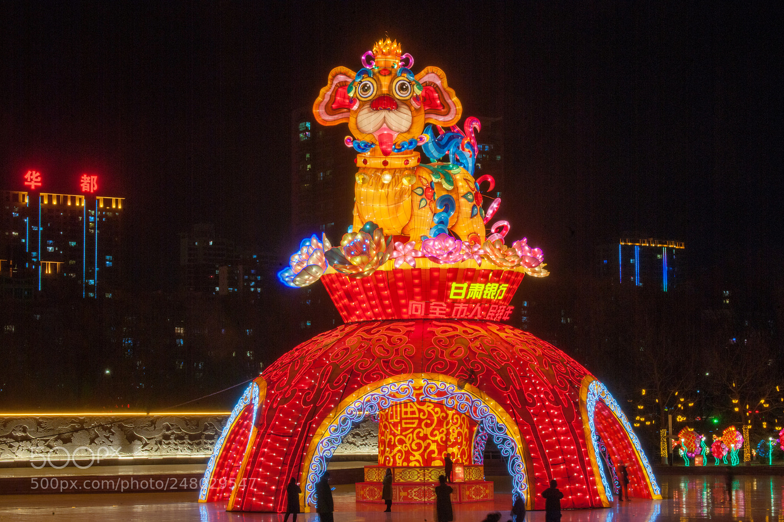 Nikon D3X sample photo. Beautiful lights photography
