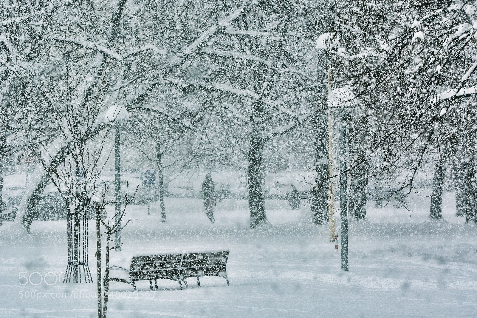 Nikon D7100 sample photo. Heavy snowfall photography