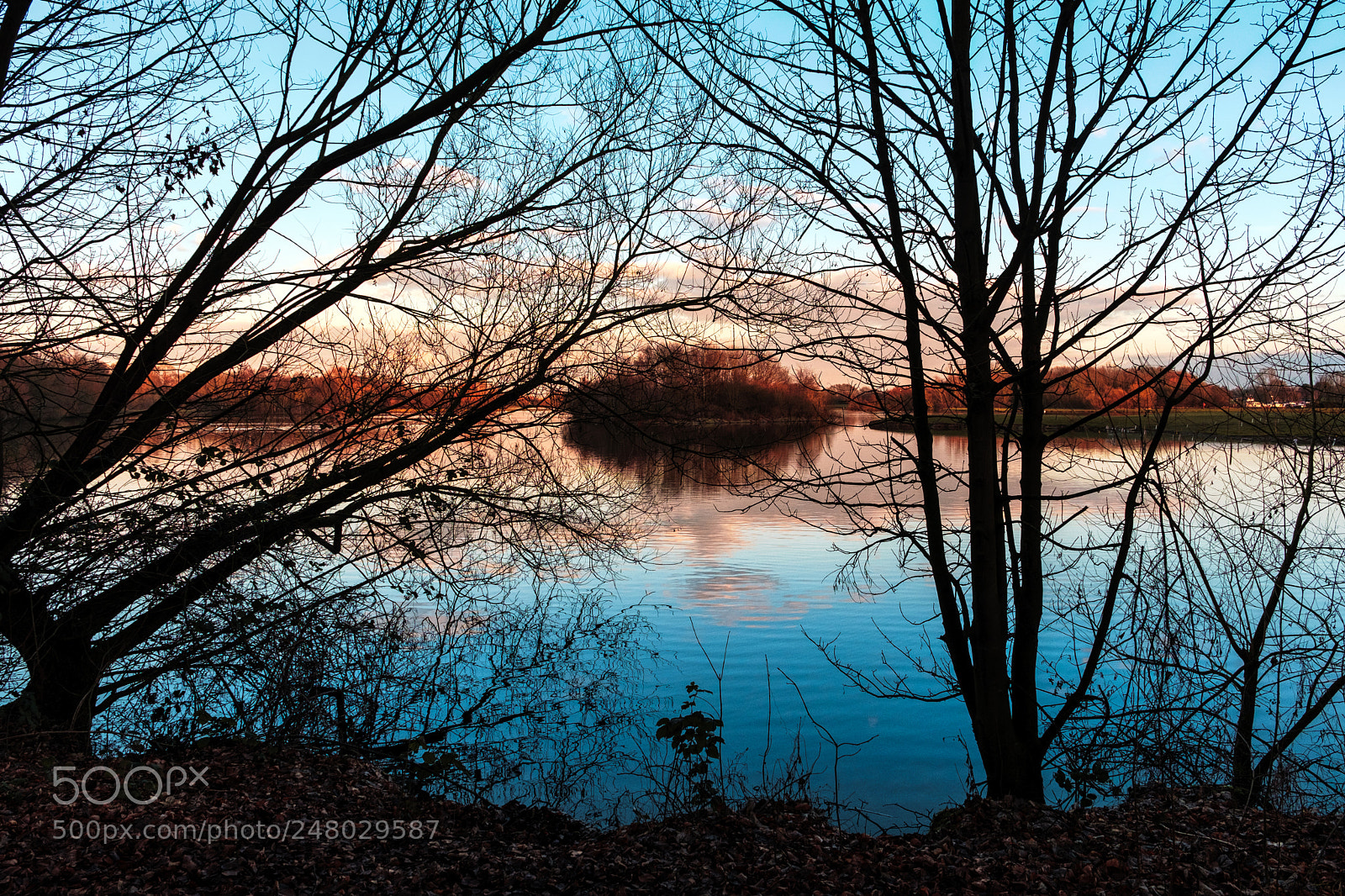 Fujifilm X-T2 sample photo. Colwick park photography