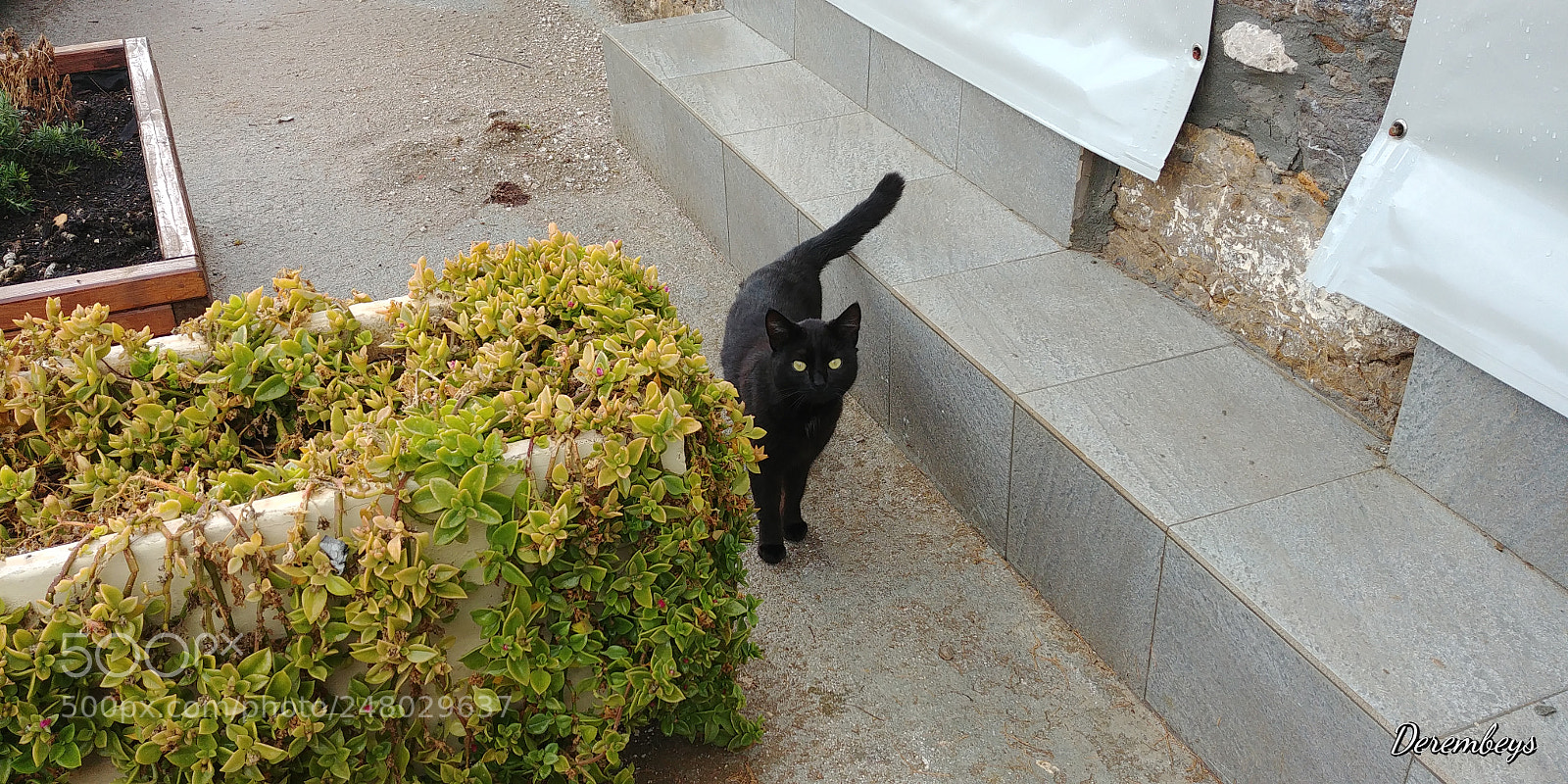LG G6 sample photo. Untitled photography