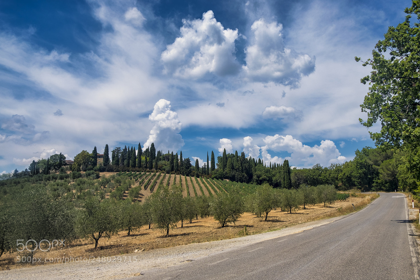 Fujifilm X-T2 sample photo. Summer landscape in the photography