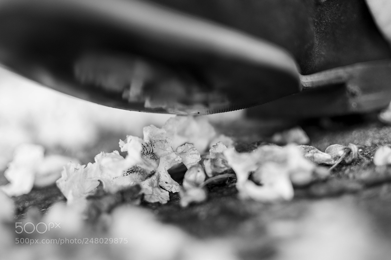 Nikon D5200 sample photo. Untitled photography