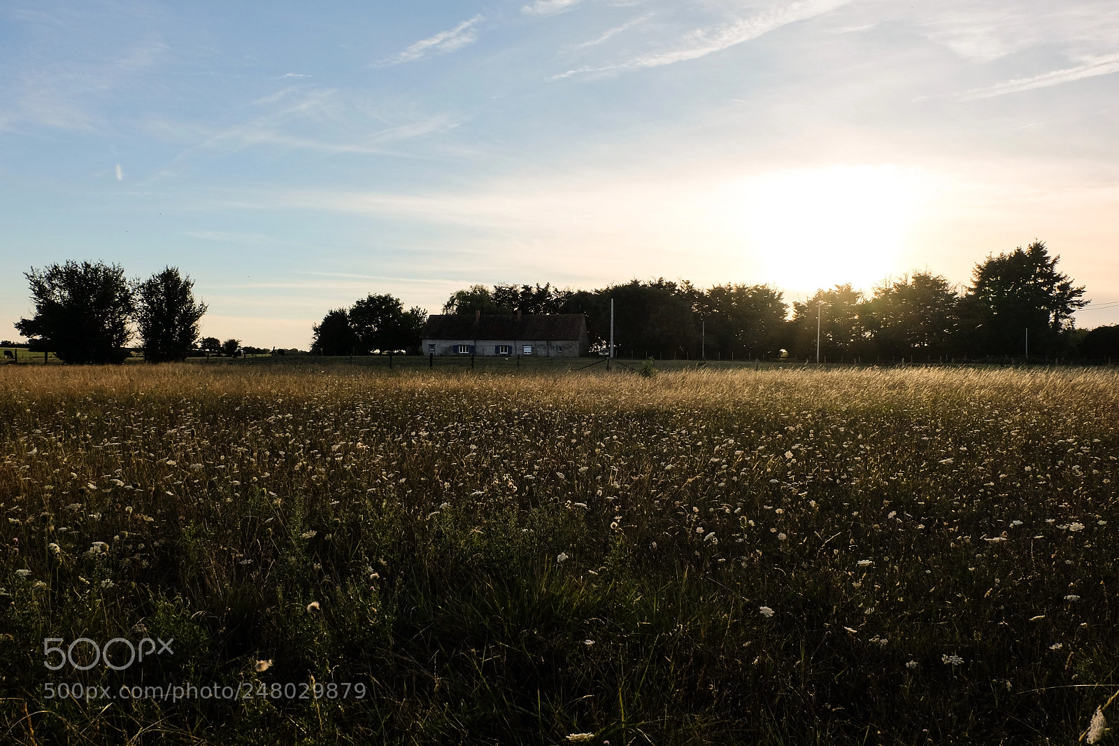 Fujifilm X-M1 sample photo. The little house and photography