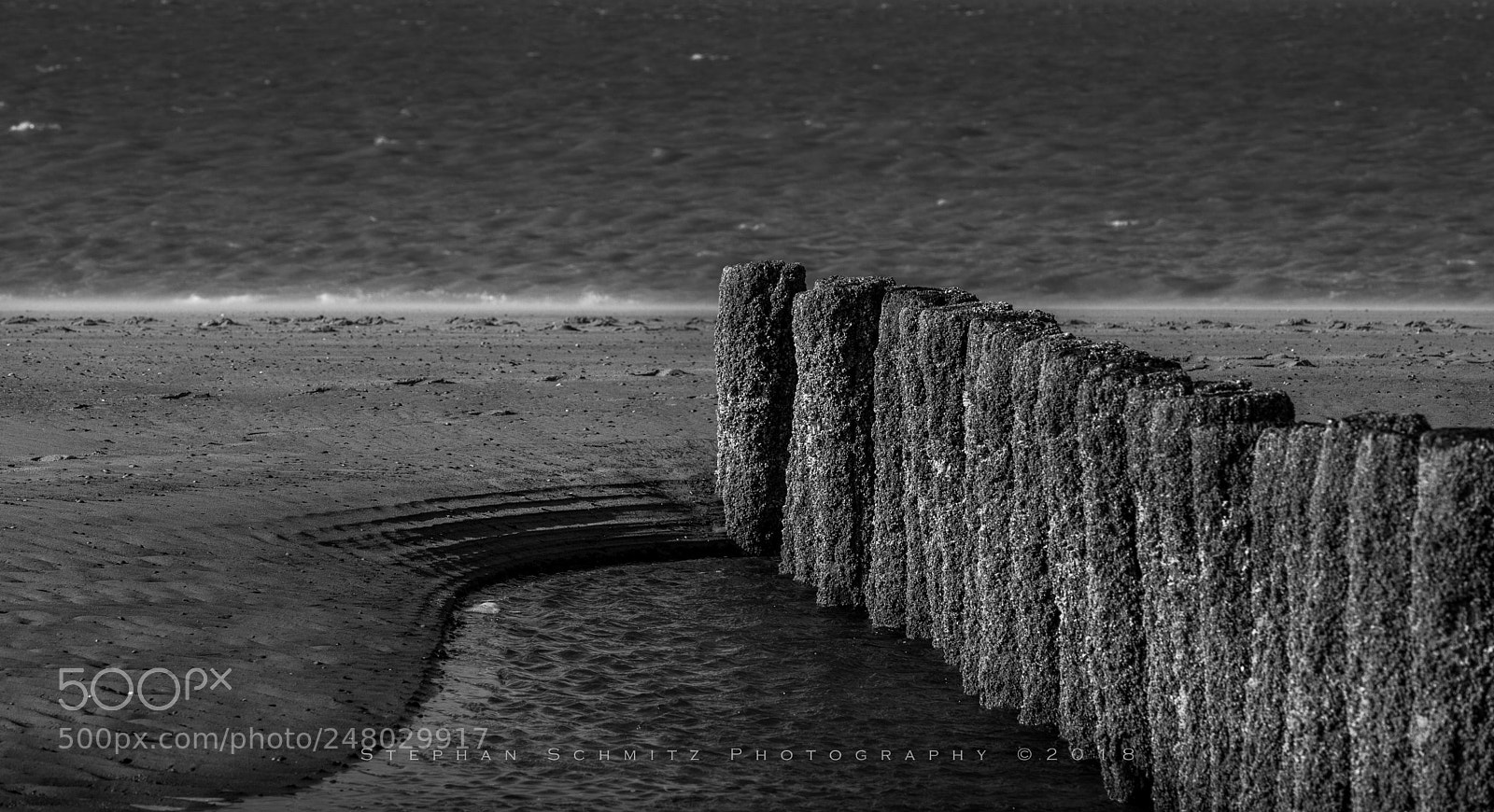 Canon EOS 6D Mark II sample photo. Monochrome sea ii photography