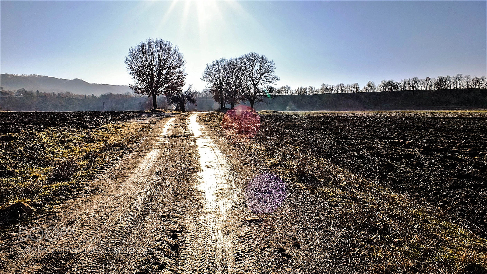 Fujifilm X-S1 sample photo. Morning sun. photography