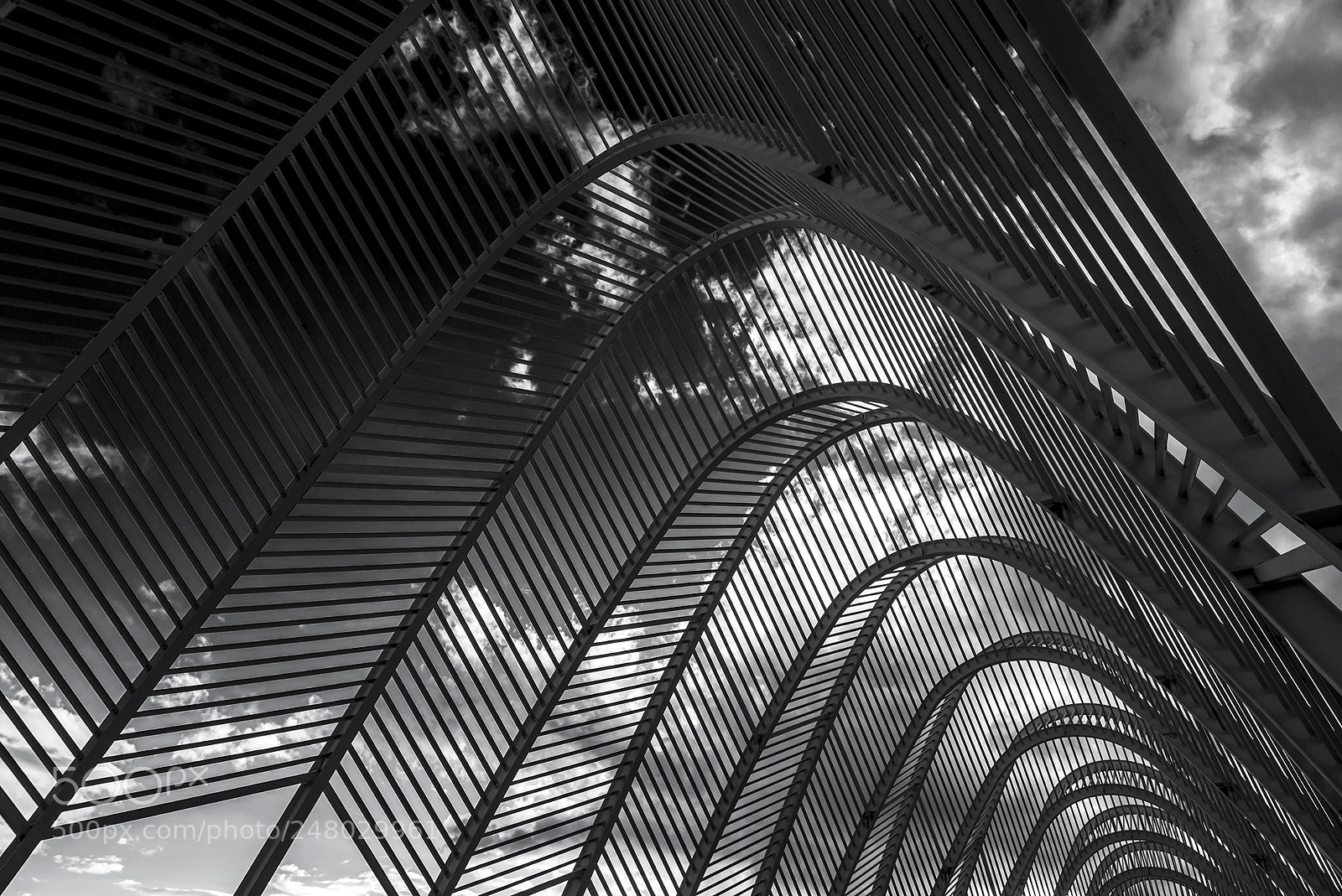 Nikon D800 sample photo. B&w photography