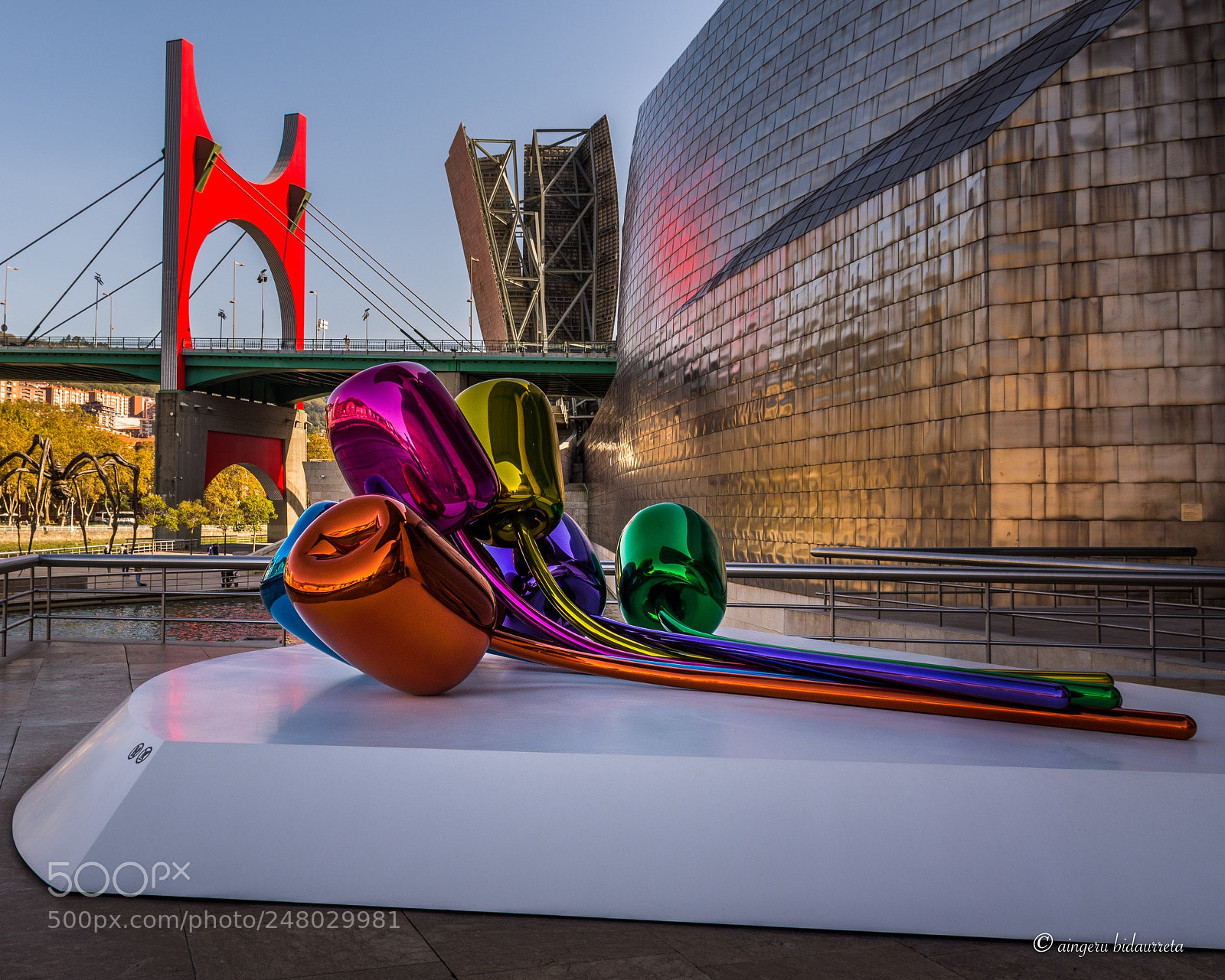Nikon D5200 sample photo. Guggenheim bilbao photography