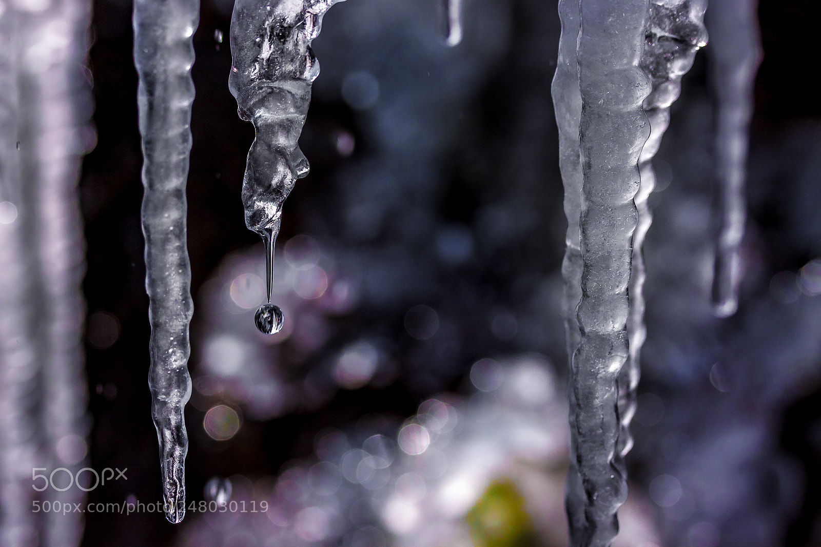 Canon EOS 50D sample photo. Untitled photography