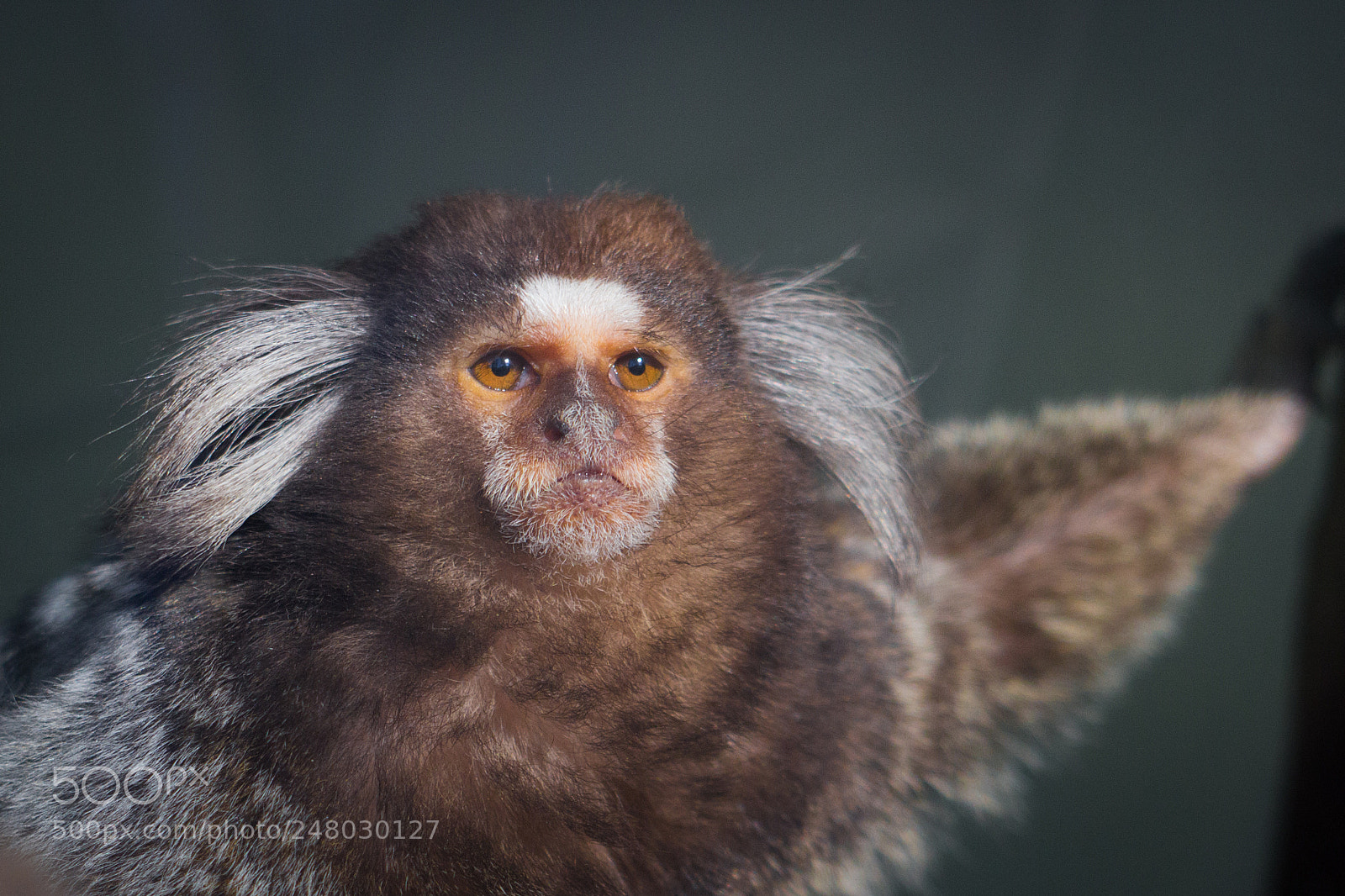 Canon EOS 700D (EOS Rebel T5i / EOS Kiss X7i) sample photo. Untitled photography