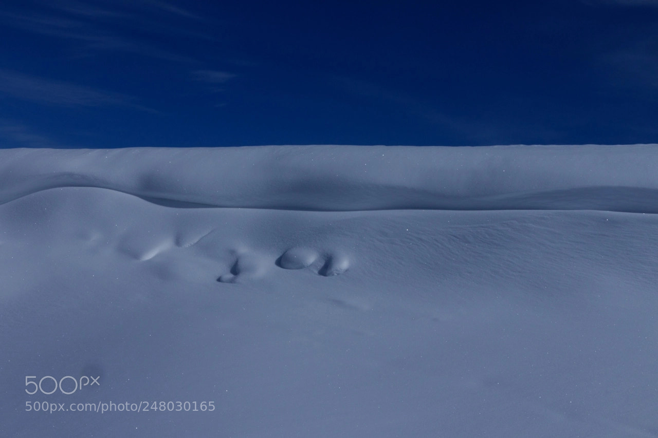 Canon EOS 7D Mark II sample photo. White wave / weisse welle photography