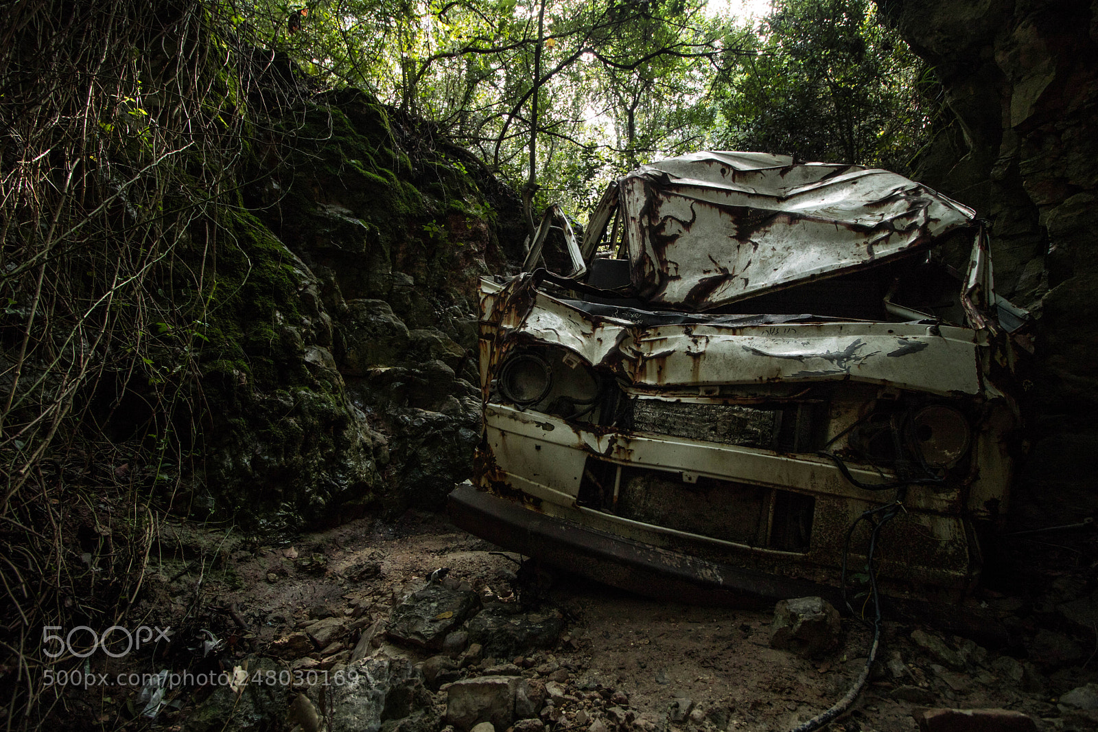 Canon EOS 750D (EOS Rebel T6i / EOS Kiss X8i) sample photo. Jungle crash photography