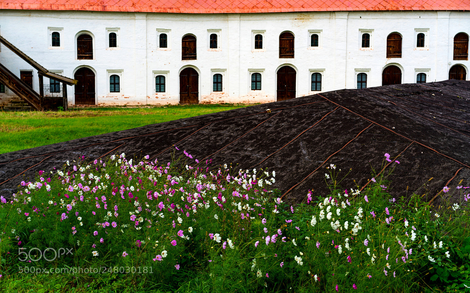 Sony a7R II sample photo. Ryazan (kosmeja 2). photography