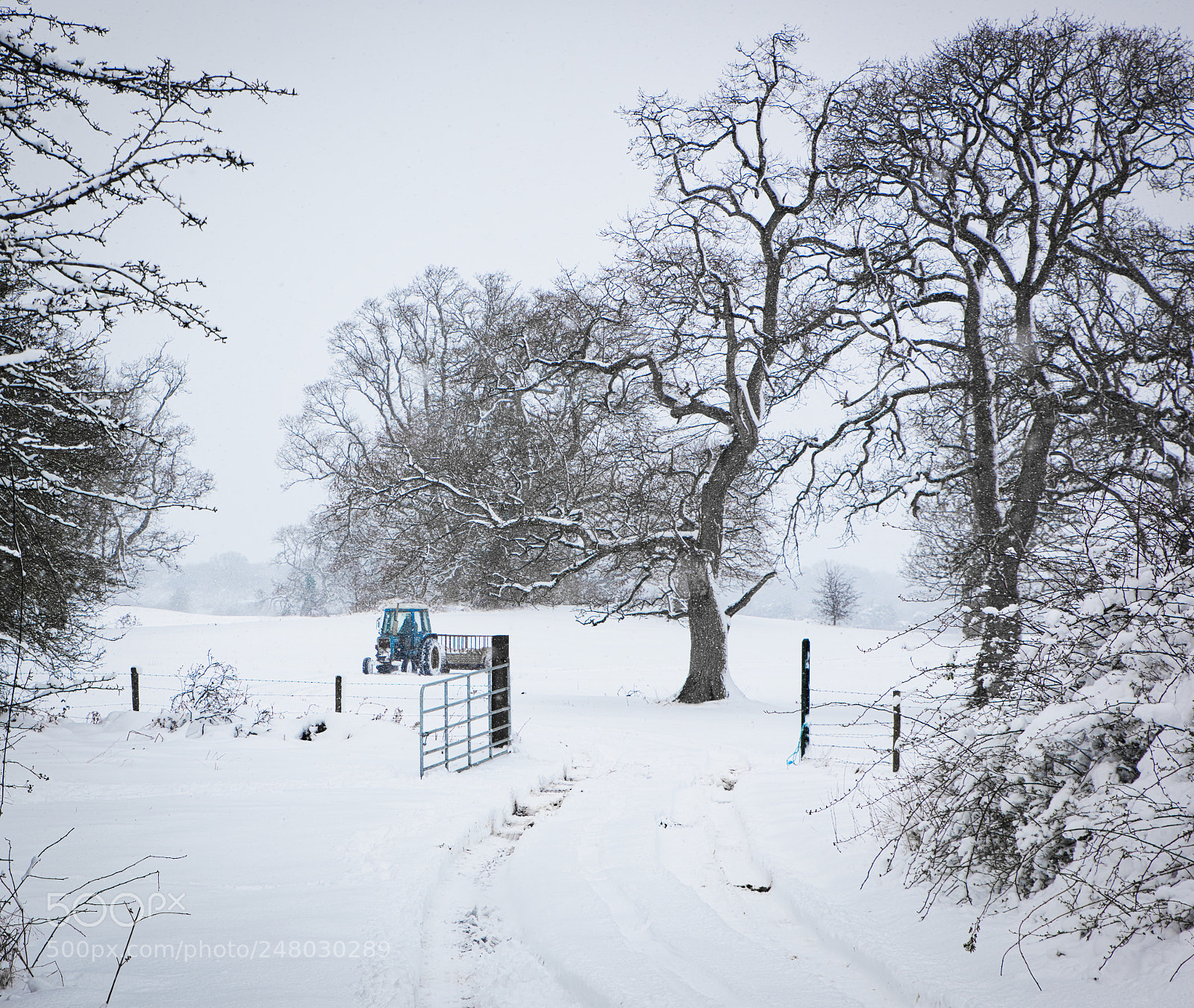 Nikon D810 sample photo. Snow scene photography