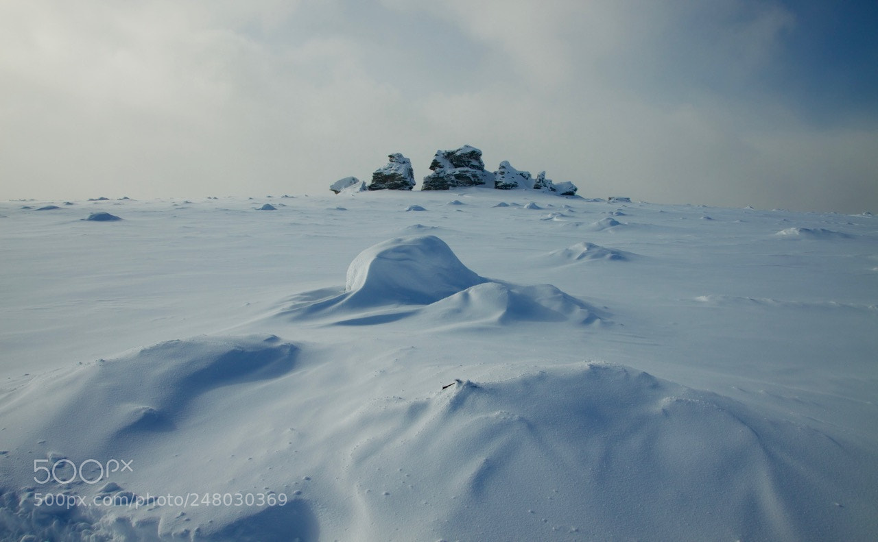 Canon EOS 50D sample photo. Winter silence photography