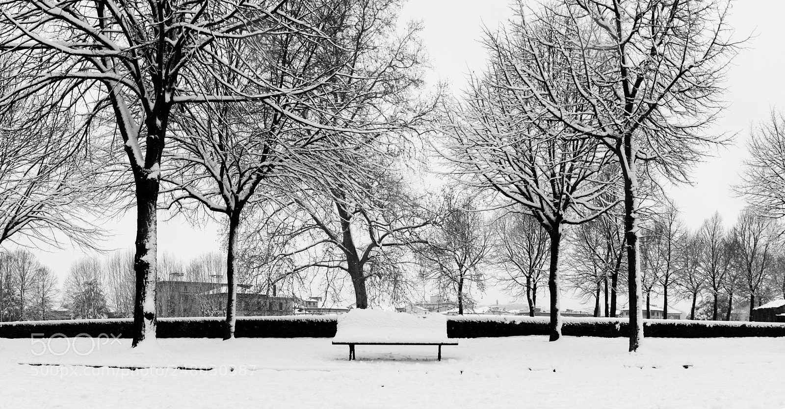 Nikon D5500 sample photo. Lucca on winter photography
